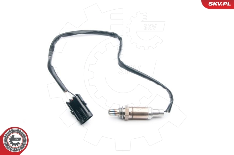 Oxygen Sensor